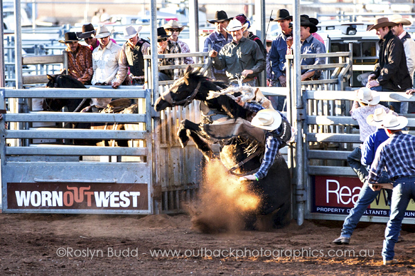 ©Roslyn Budd - www.buddphotography.com.au