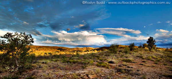 ©Roslyn Budd - www.buddphotography.com.au