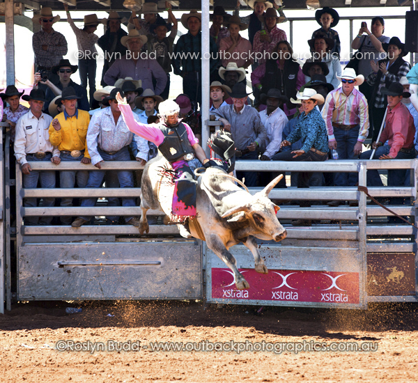 ©Roslyn Budd - www.buddphotography.com.au