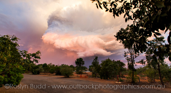 ©Roslyn Budd - www.buddphotography.com.au