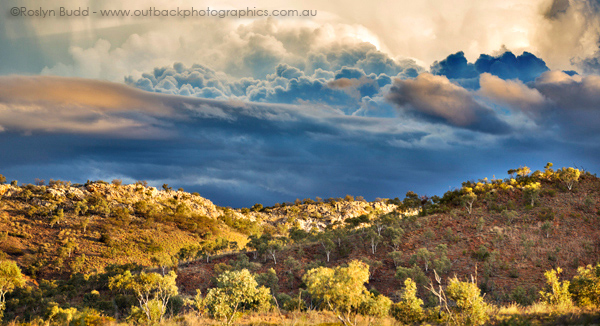 ©Roslyn Budd - www.buddphotography.com.au