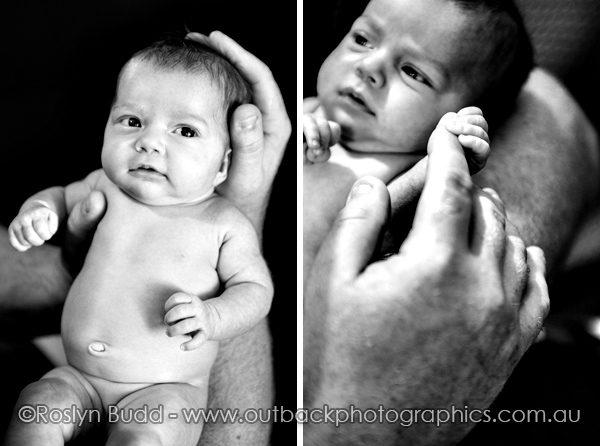 ©Roslyn Budd - www.buddphotography.com.au