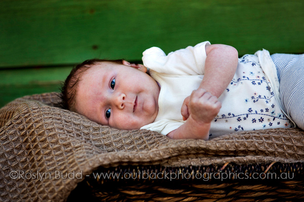 ©Roslyn Budd - www.buddphotography.com.au