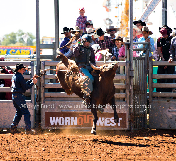 ©Roslyn Budd - www.buddphotography.com.au