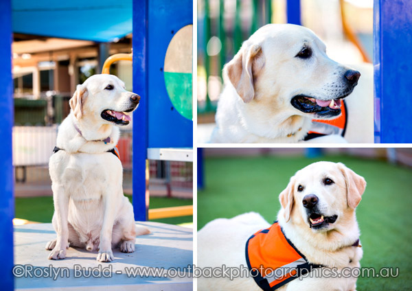 ©Roslyn Budd - www.buddphotography.com.au