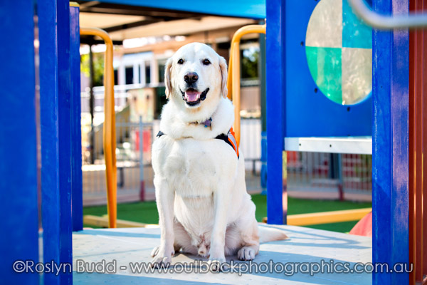 ©Roslyn Budd - www.buddphotography.com.au