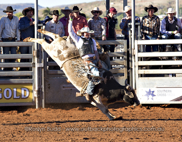 ©Roslyn Budd - www.buddphotography.com.au