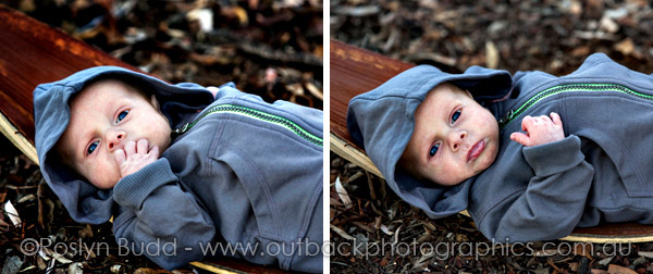 ©Roslyn Budd - www.buddphotography.com.au