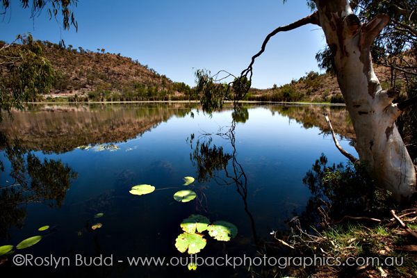 ©Roslyn Budd - www.buddphotography.com.au