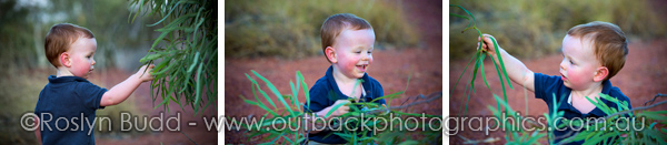 ©Roslyn Budd - www.buddphotography.com.au