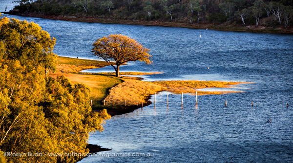 ©Roslyn Budd - www.buddphotography.com.au