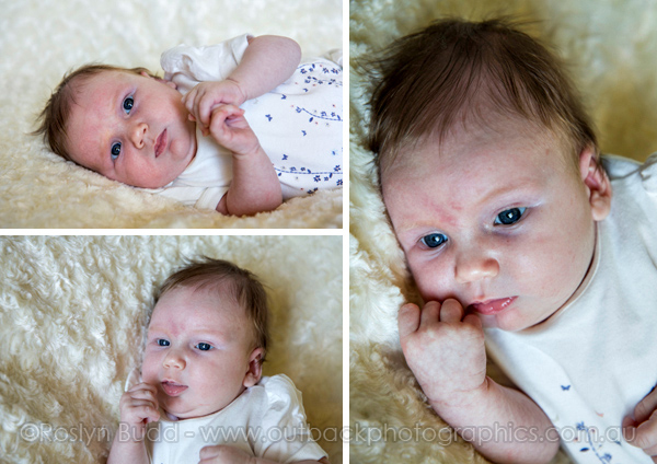 ©Roslyn Budd - www.buddphotography.com.au