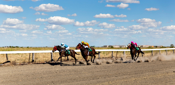 ©Roslyn Budd - www.buddphotography.com.au