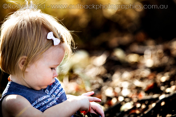 ©Roslyn Budd - www.buddphotography.com.au