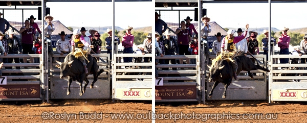 ©Roslyn Budd - www.buddphotography.com.au