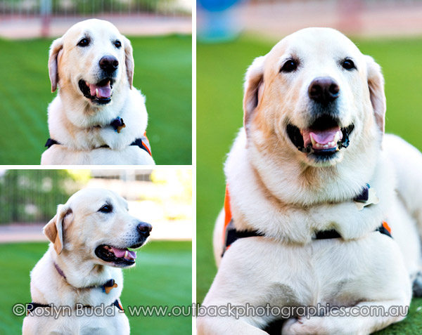 ©Roslyn Budd - www.buddphotography.com.au