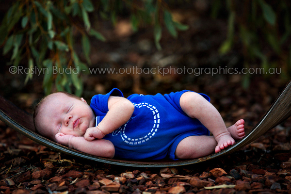 ©Roslyn Budd - www.buddphotography.com.au
