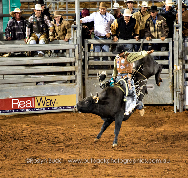 ©Roslyn Budd - www.buddphotography.com.au