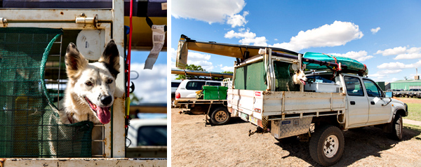 ©Roslyn Budd - www.buddphotography.com.au