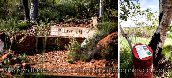 ©Roslyn Budd - www.buddphotography.com.au