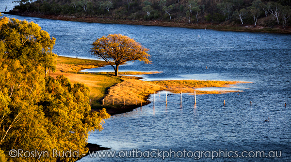 ©Roslyn Budd - www.buddphotography.com.au
