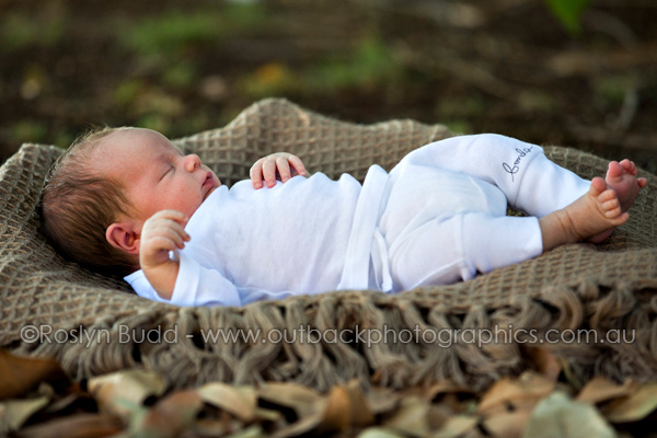 ©Roslyn Budd - www.buddphotography.com.au