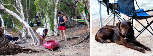 ©Roslyn Budd - www.buddphotography.com.au