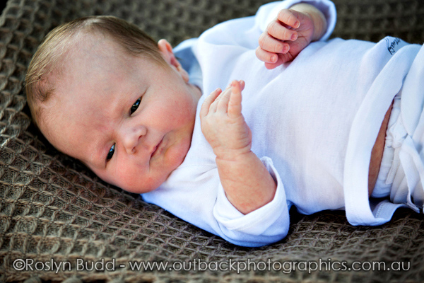 ©Roslyn Budd - www.buddphotography.com.au