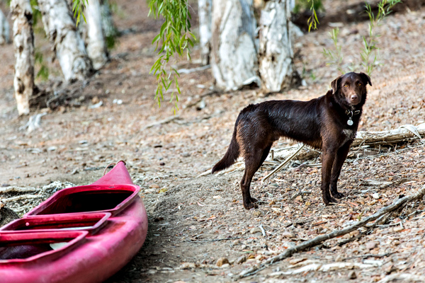 ©Roslyn Budd - www.buddphotography.com.au
