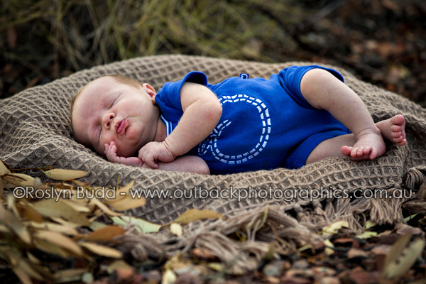 ©Roslyn Budd - www.buddphotography.com.au