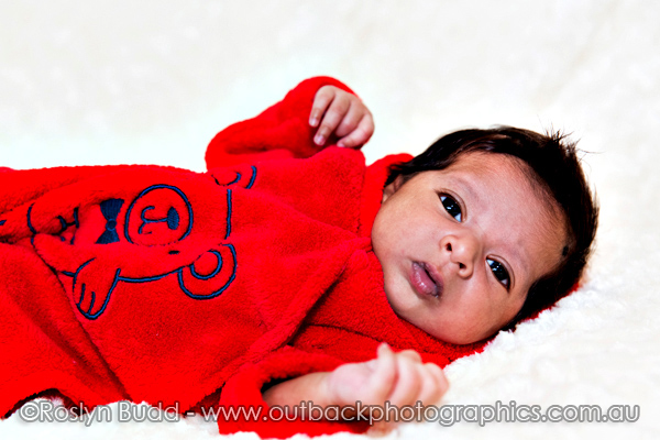 ©Roslyn Budd - www.buddphotography.com.au