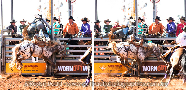 ©Roslyn Budd - www.buddphotography.com.au