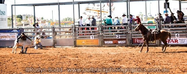 ©Roslyn Budd - www.buddphotography.com.au