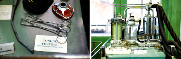 ©Roslyn Budd - www.buddphotography.com.au