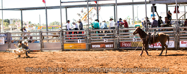 ©Roslyn Budd - www.buddphotography.com.au