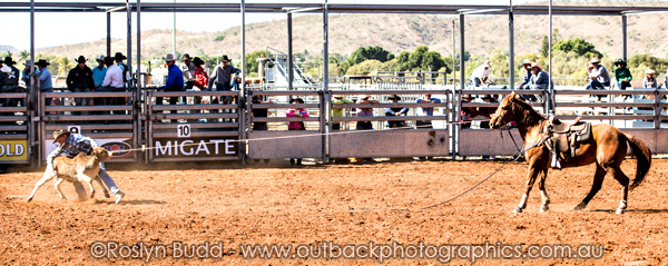 ©Roslyn Budd - www.buddphotography.com.au