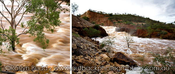 ©Roslyn Budd - www.buddphotography.com.au