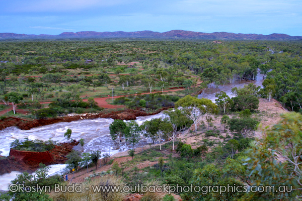 ©Roslyn Budd - www.buddphotography.com.au