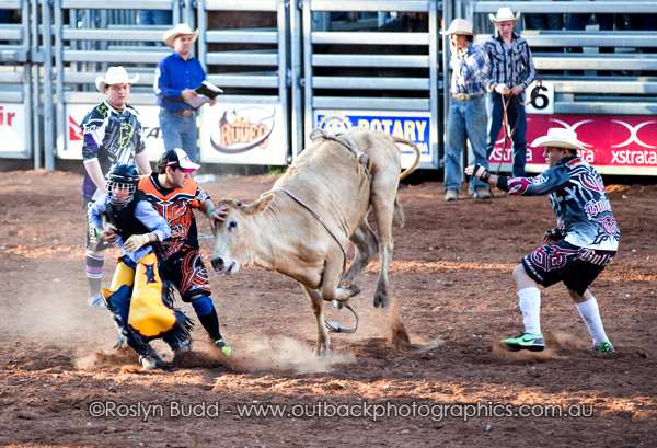 ©Roslyn Budd - www.buddphotography.com.au