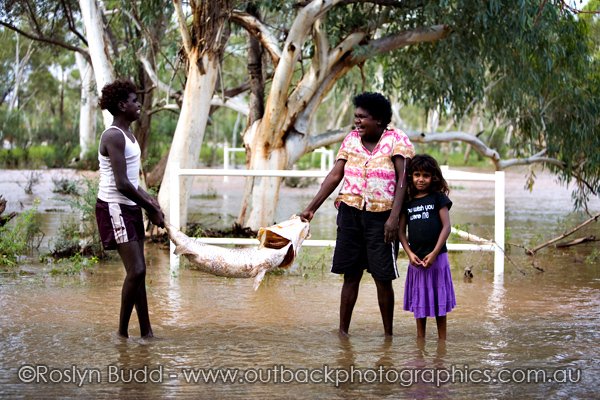 ©Roslyn Budd - www.buddphotography.com.au