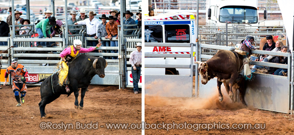 ©Roslyn Budd - www.buddphotography.com.au