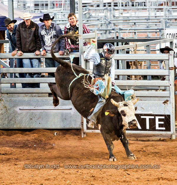 ©Roslyn Budd - www.buddphotography.com.au