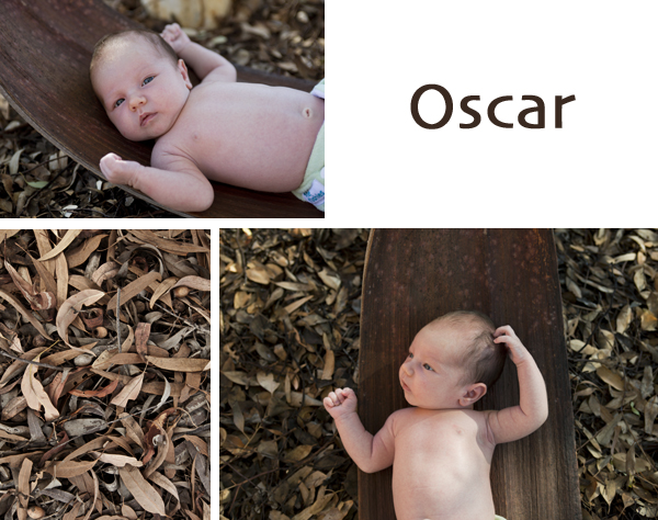 ©Roslyn Budd - www.buddphotography.com.au