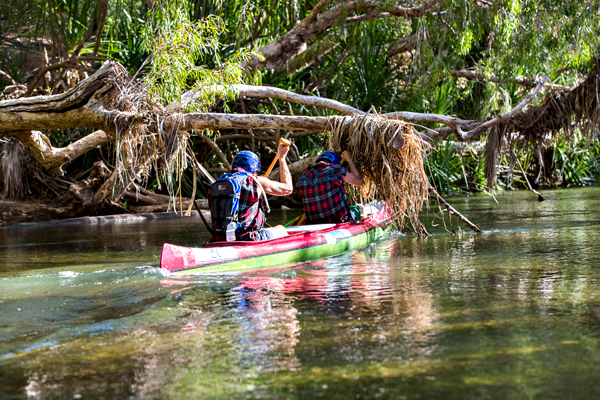 ©Roslyn Budd - www.buddphotography.com.au