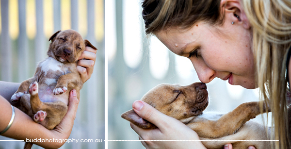 ©Roslyn Budd - www.buddphotography.com.au