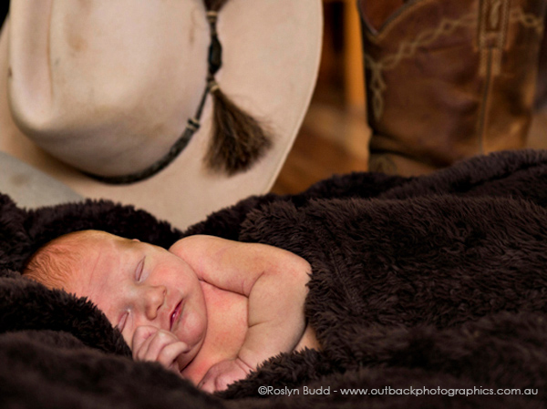 ©Roslyn Budd - www.buddphotography.com.au