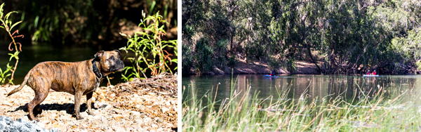 ©Roslyn Budd - www.buddphotography.com.au