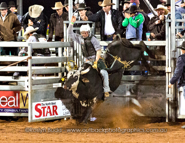 ©Roslyn Budd - www.buddphotography.com.au