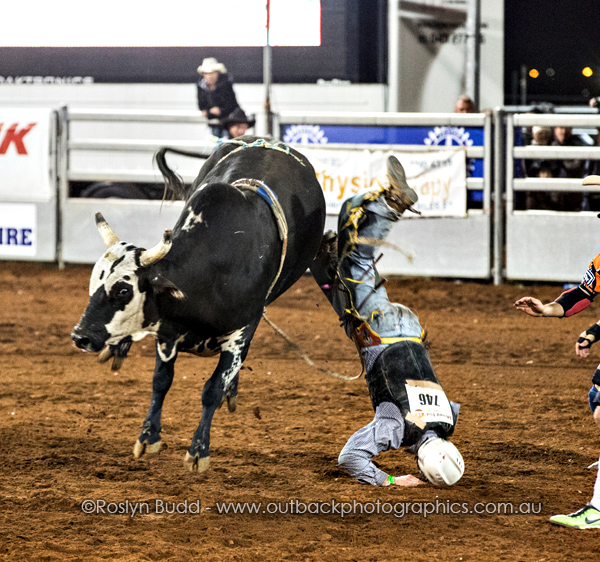 ©Roslyn Budd - www.buddphotography.com.au