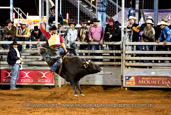 ©Roslyn Budd - www.buddphotography.com.au